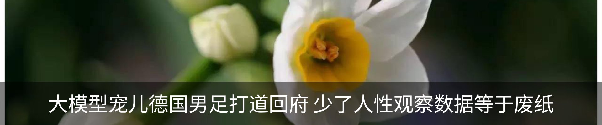 行业资讯